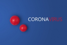 Graphic image that reads Corona Virus